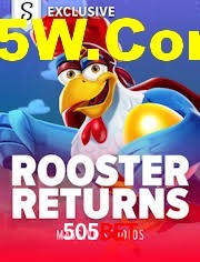 Bonus Features 505Bet